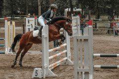 DSCF6737